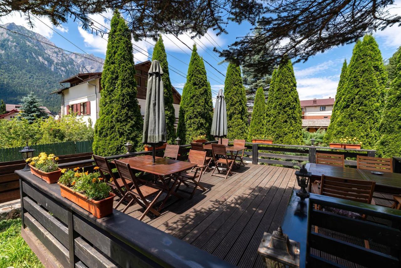 Casa Freya Hotel Busteni Exterior photo