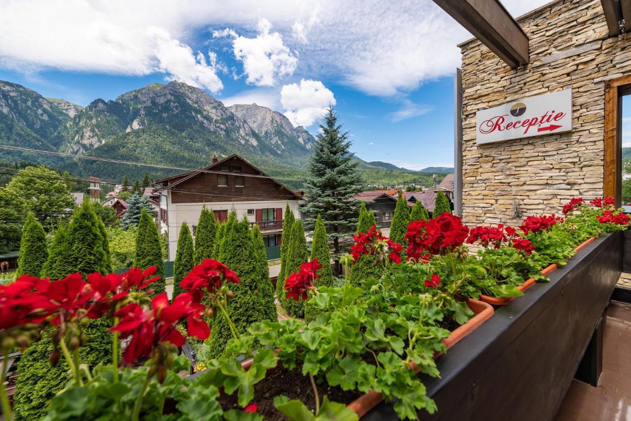 Casa Freya Hotel Busteni Exterior photo